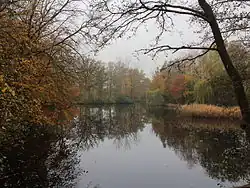 Kleine vijver achter in het park.
