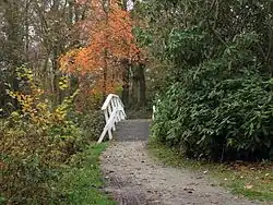 Bruggetje over grote vijver.