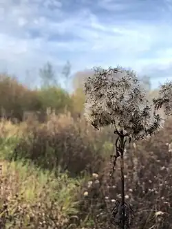 Het park van Eden: biodiversiteit
