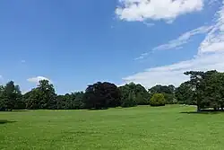 Gezicht van op de Wildejasmijnenlaan