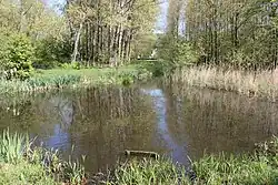 Park Vogelenzang (2014)