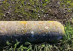 De sinaasappelkorst-associatie op een varkensrug