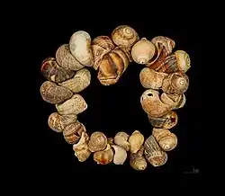 ketting van slakkenhuizen