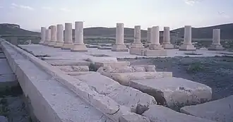 Pasargadae