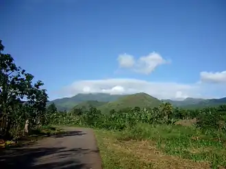 Bergen bij Passim, Nkongsamba