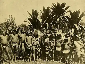 Patamona op het Kaieteurplateau (1908)