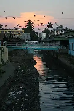 vliegende vogels boven een waterloop in Pathein