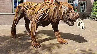 Tijger (augustus 2018)