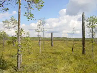 Nationaal park Patvinsuo