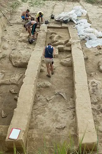 kwadraat AJ56/61 met een verzameling mammoetbeenderen