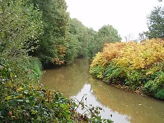 Peertsbos met Kleine Nete