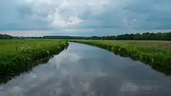 Peizerdiep ten zuiden van Roden