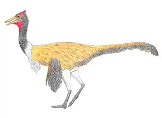 Pelecanimimus