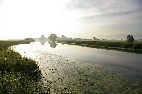 Tussen Bleskensgraaf en Groot-Ammers