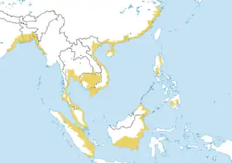 Cantors reuzenweekschildpad