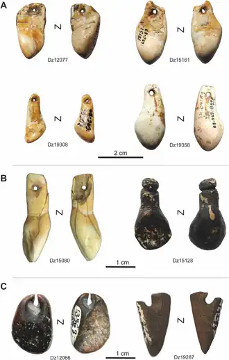 Hangers uit de Dzoedzoeanagrot A - Rudimentaire hoektanden van edelherten B - snijtanden van hoefdieren C - hangers van been