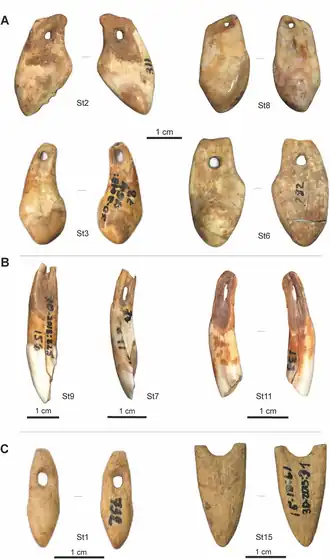 hangers uit tanden van hoefdieren en beenderen