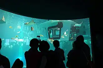 Een drijvend bootje met onderwaterzicht in het walvishaai-aquarium.