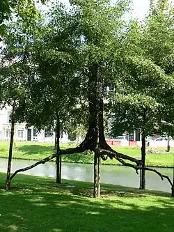 "Elevazione" (2001), Rotterdam
