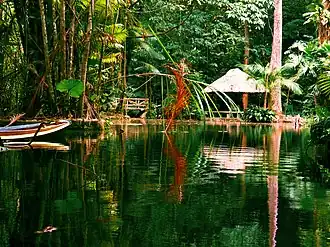 Pequeno Lago in het park Bosque Rodrigues Alves