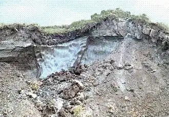 Een vorstwig in hedendaagse permafrost