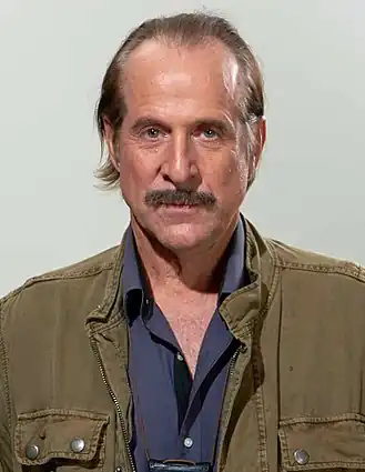 Peter Stormare in 2015