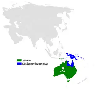 Australische boomzwaluw