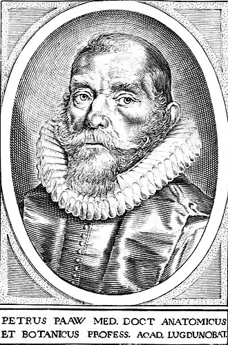 Een portret van Pieter Pauw. Deze tekening werd gebruikt in zijn werk Succenturiatus Anatomicus, continens Commentaria in Hippocratem de Capitis Vulneribus. Additæ sunt Annotationes in aliquot Capita Libri octavi C. Celsi (1616).