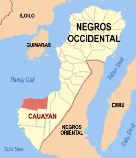 Kaart van Cauayan