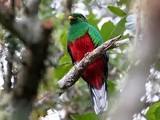 Santamartaquetzal