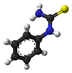 Molecuulmodel van fenylthiocarbamide