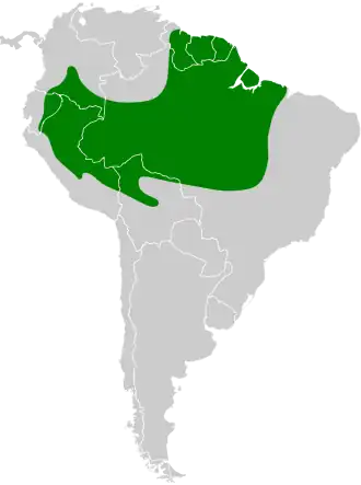 Roodstuitbladspeurder