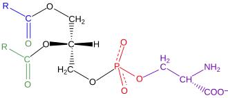 Onderstaande gegevens hebben betrekking op de verbinding waarbij in bovenstaande structuur de blauwe R-groep staat voor C2H5 en de groene R-groep voor C3H7