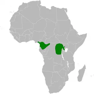 Xaviers loofbuulbuul