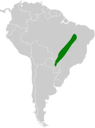 Reisers vliegenpikker