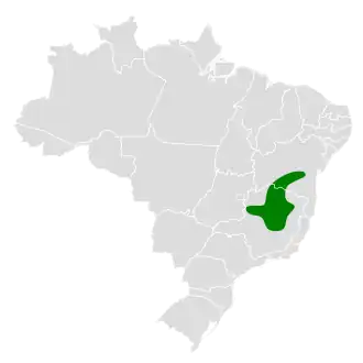 Minas Geraislooftiran