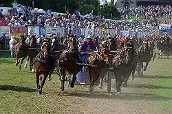 Demonstratie Romeinse strijdwagenrennen