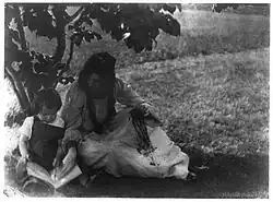 The picturebook, 1903