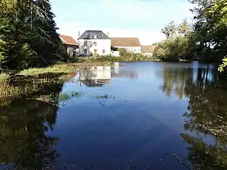 Vijver bij de molen van Pinaud