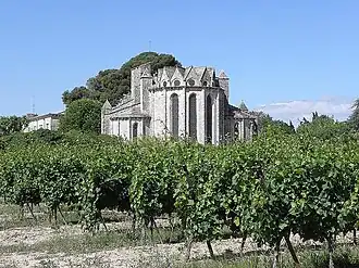 Abbaye de Vignogoul
