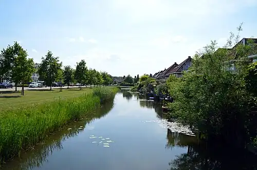 Pijlpuntstraat; vanuit het noorden gezien