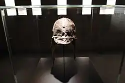 Hoofddeksel van een piloot uit Wereldoorlog I