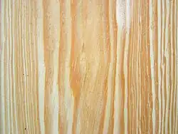 Pijnboom (Pinus canariensis)