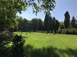 Een deel van de bos- en coniferenkwekerij Pinetum-arboretum van het landgoed IJsselvliedt.
