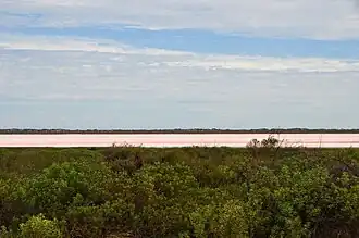 Pink Lake