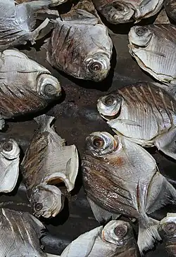 Klaargemaakte piranha's in Suriname