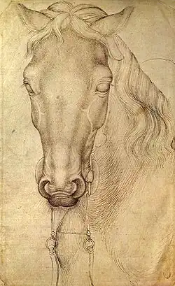 Hoofd van een paard, inv. 2360, ca. 1433-1438, pen en potlood op papier, 26,9&nbsp;×&nbsp;16,8