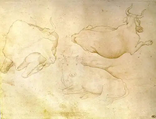 Drie liggende koeien, inv. 2411, zilverstift, pen en potlood op perkament, 17,6&nbsp;×&nbsp;22,6