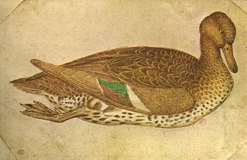 Taling, inv. 2465, ca. 1433-1436, pen, potlood en aquarel op papier, ca. 14&nbsp;×&nbsp;21,4