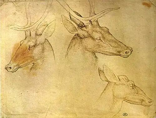 Drie hertenkoppen, inv. 2490, ca. 1433-1436, pen en potlood op papier, 15,8&nbsp;×&nbsp;20,8